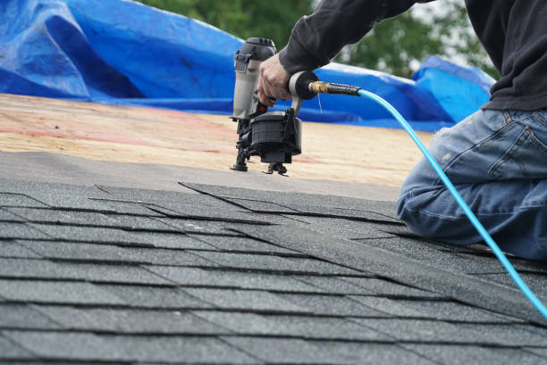 Best Roof Gutter Cleaning  in Santa Claus, IN