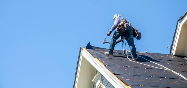 Best Roof Repair Services  in Santa Claus, IN
